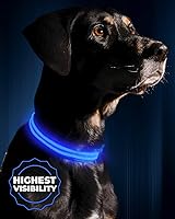 Vista 10 de Collar para perros LED Illumiseen, recargable por USB, Amarillo (Sunburst Yellow)