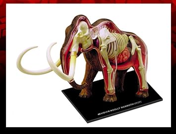 4D Master Mammoth Model Assembled Animal Figure Detachable Education Gift