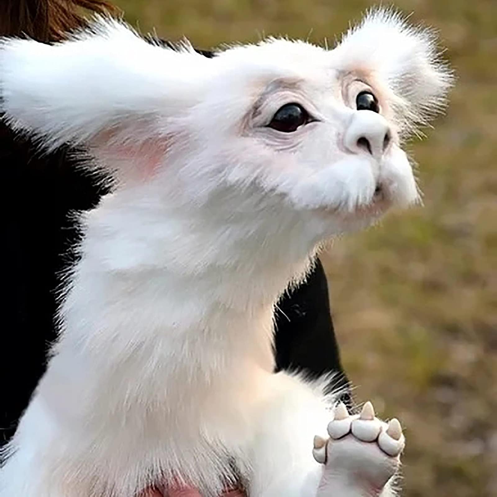 Falkor from The Neverending Story, The Luck Dragon Plush Doll Toys, Lovely Soft Stuffed Animal Toy, Stuffed Fairy Dragon Figures Gift Kids and Adluts