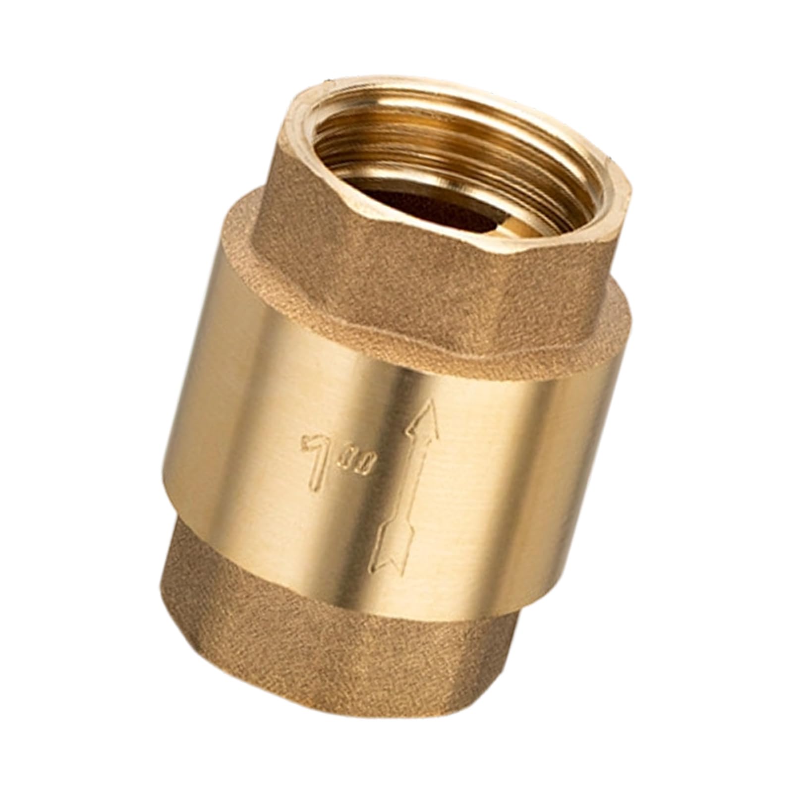 Pressure Professional 1 Inch Vertical Check Thickened Brass Construction Leak for Pipelines Brass Check HVAC Applications