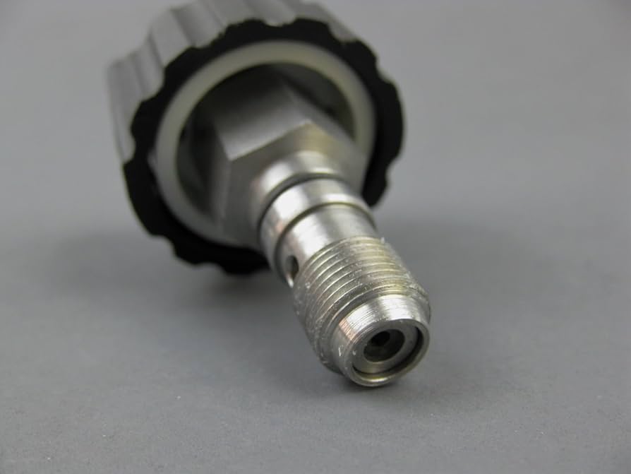 Risa  ① Titan Wagner 0169248 / 169248 Relief Valve Assembly. Genuine