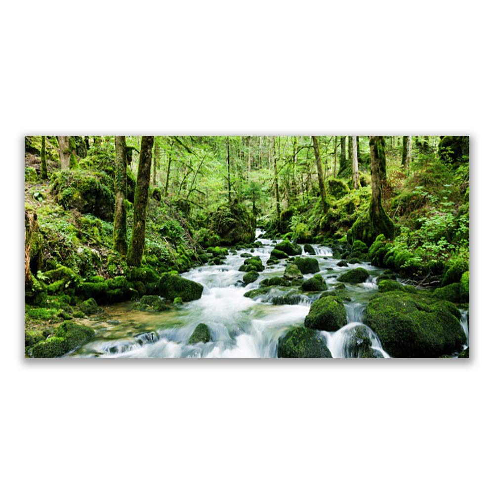 Tableau en verre acrylique 120x60cm de forêt et lac pour décoration murale Tulup