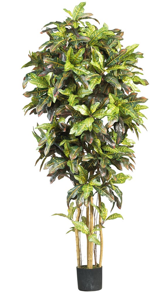 Photo 1 of (set of 2) Nearly Natural 5211 Croton Silk Tree, 28"