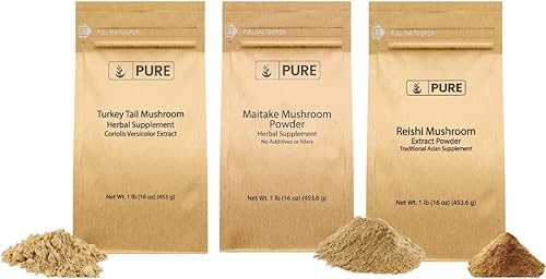 Paquete de polvo de cola de pavo, Reishi y hongo Maitake Pure Original Ingredients