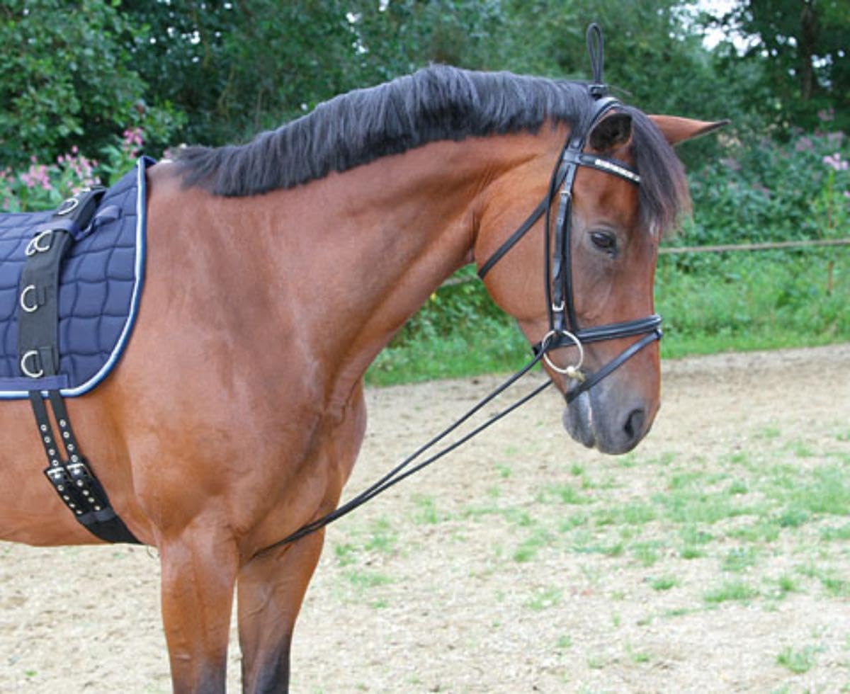 Kerbl 323600 Reins Extender, Black