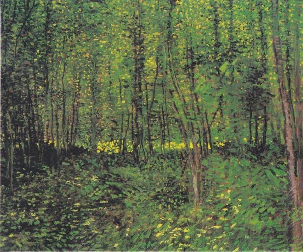 Póster de graffiti Van Gogh Árboles y maleza cuadro para decoración de paredes de salón 60x90cm
