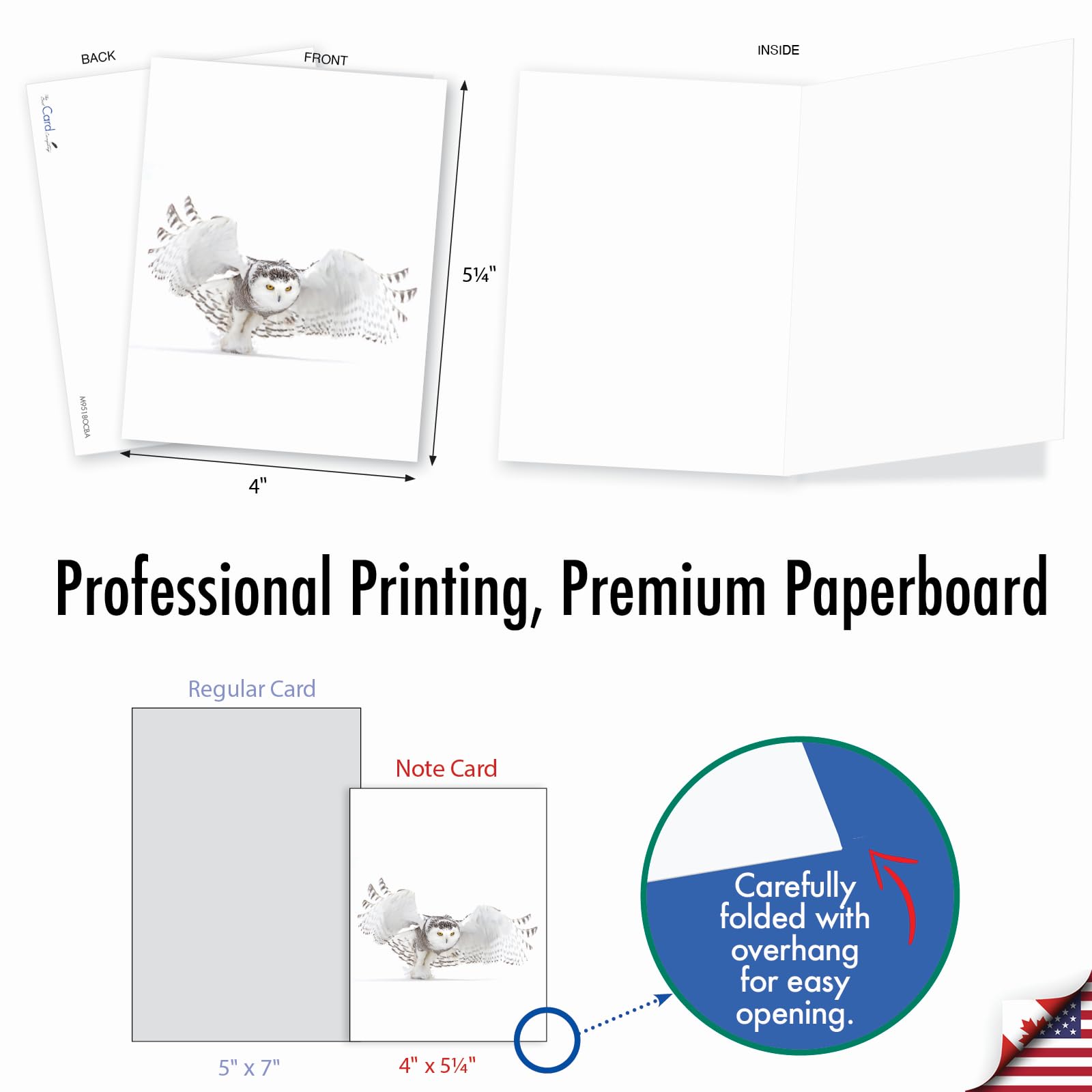 The Best Card Company 20 Assorted Blank Notecards Bulk Box Set 4 X 5 12 Inch With Envelopes 10 Designs 2 Each Kitties And Kisses Am5657ocb B2x10