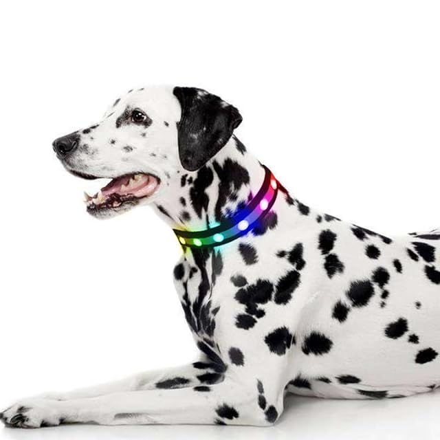 Foto 2 de 5 de QQY Collar de Perro led, Collar de Mascota Impermeable y Luminoso Cargado por USB con 3 Modos de Collar…