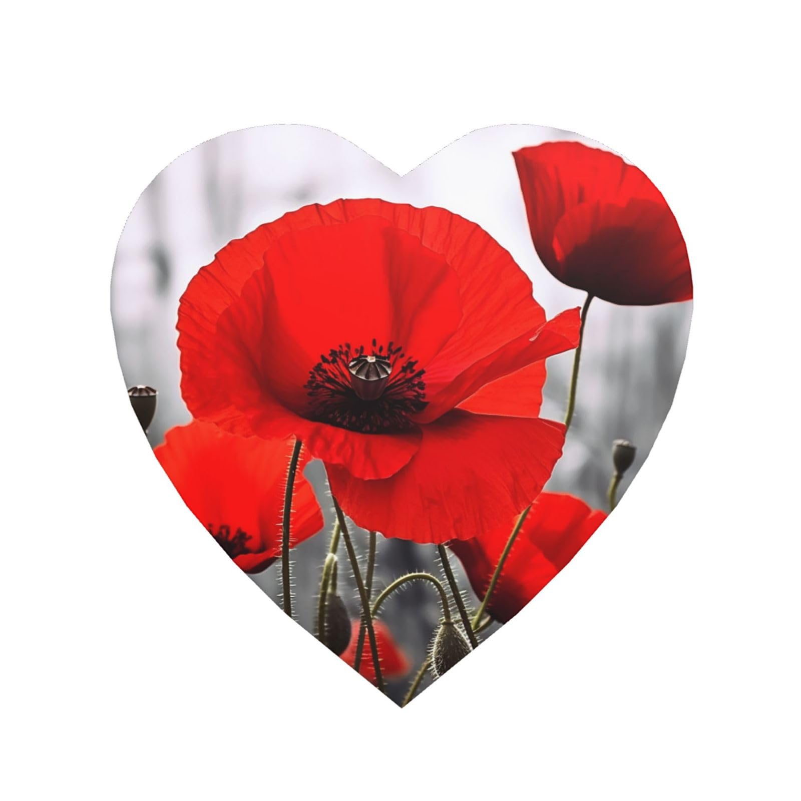 Fridge Magnets Waterproof Personalized Magnets for Fridge Red Poppy Flower Refrigerator Magnets Home Decoration Magnetic Sticker for Locker Accessories Whiteboard Kitchen Office Decor