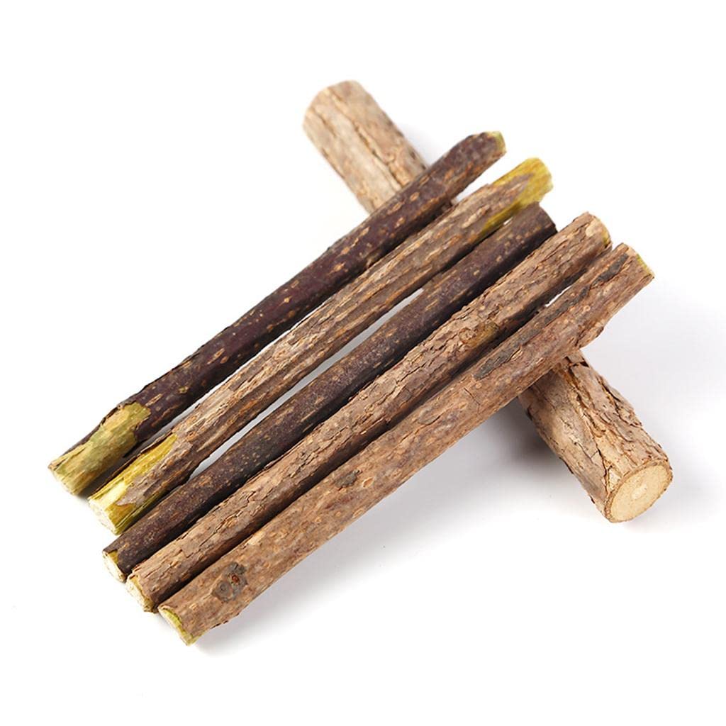 CALANDIS 5Pcs Catnip Silvervine Sticks Natural Toothpaste Actinidia Polygama Cat Toy (B0BFXBP5G3) Amazon Price History, Amazon Price Tracker
