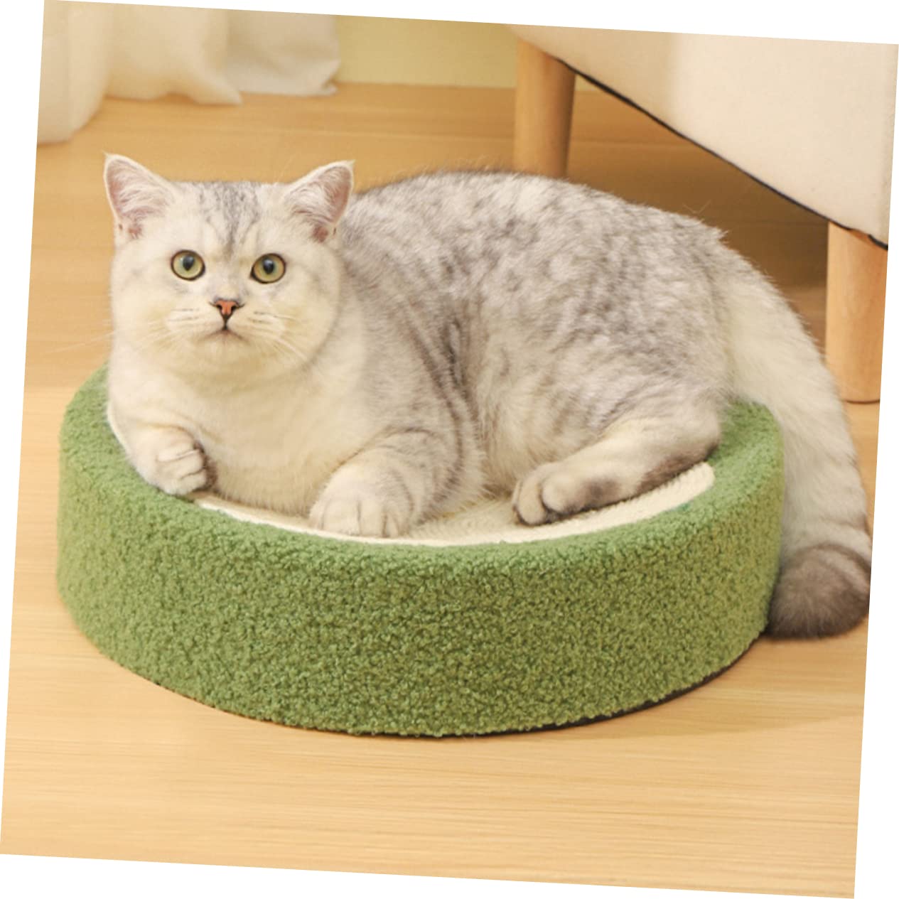 Toyvian Rundes Kratzbrett Für Katzen Im Haushalt Strapazierfähige Kratzmatte Leicht Und Dekorativ Robustes Bodenaccessoire