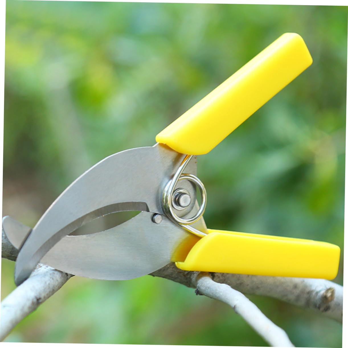 TOYANDONA 3 Ensembles Cisailles À Ceinturer Taille Outil De Jardinage À Main Outil À Main De Plantation Outils À Main Du Jardin Sécateurs À Main De Jardin Plastique 2 Pièces * 3