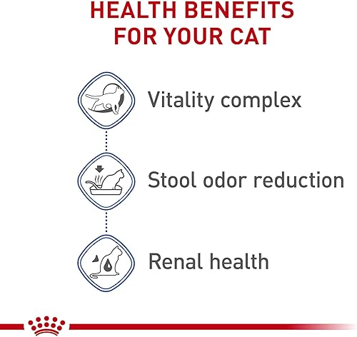 Miniatura 4 de Royal Canin Indoor 7+ Alimento seco para gatos adultos, bolsa de 5.5 libras