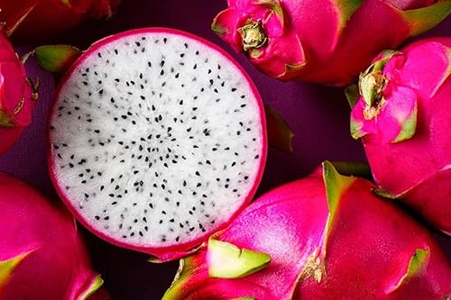 Miniatura 5 de Gaea's Blessing - Semillas de Dragonfruit (blanco) - Pitaya - Semillas tradicionales sin OMG con instrucciones de siembra - Sin tratar - Polinizadas