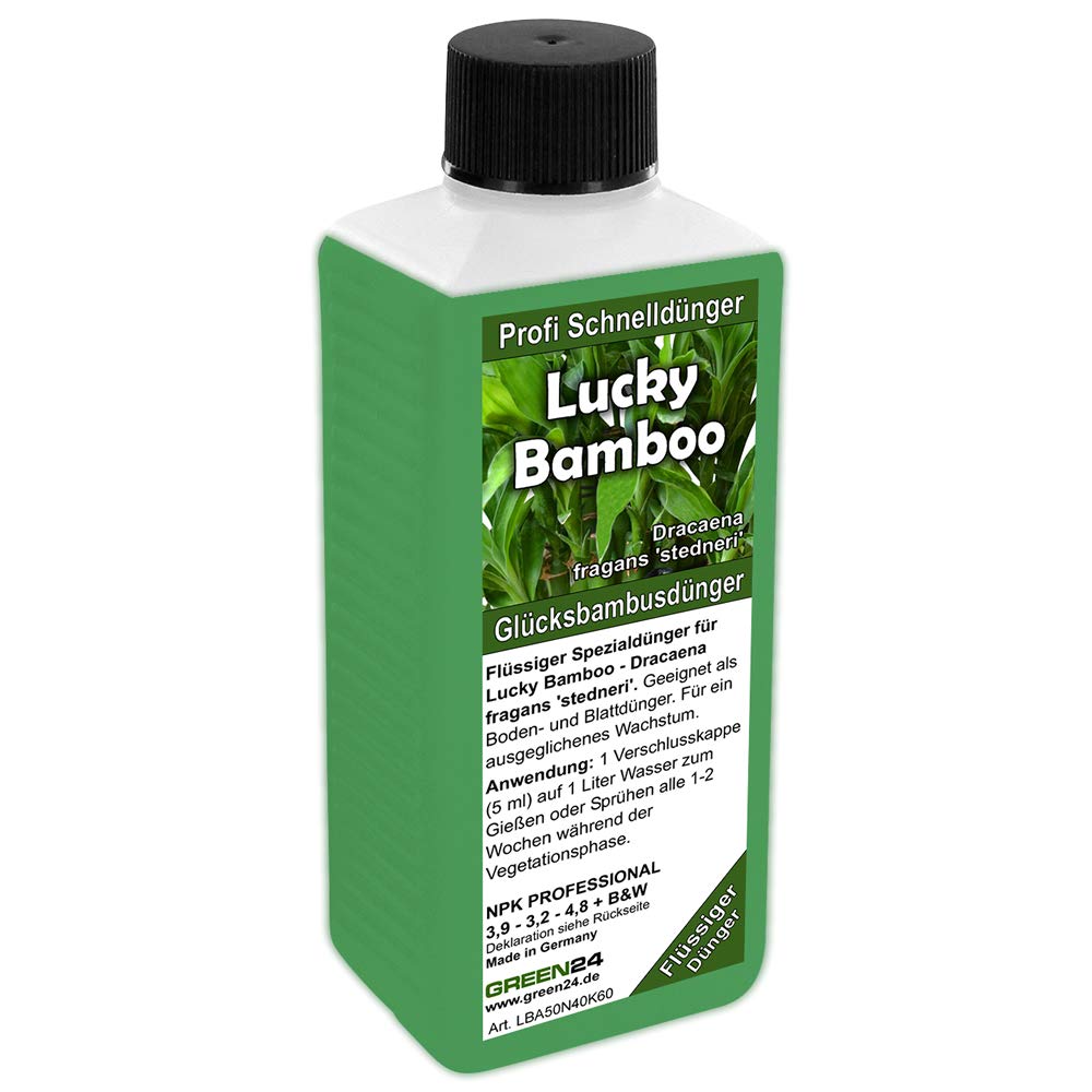 GREEN24 Glcksbambus Dnger  250ml Spezial-Flssigdnger fr Lucky Bamboo  (Dracaena sanderiana) | Fr krftiges Wachstum & sattes Grn | Verhindert  gelbe Bltter | Ideal fr Hydrokultur & Wasser : Amazon.de: Garten