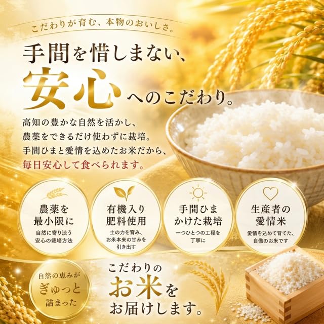 令和8年度新米♥愛媛県産コシヒカリ15kg（白米） Amazon.co.jp: [精米] 米 令和8年産 予約 新米 5kg お米 高知県産