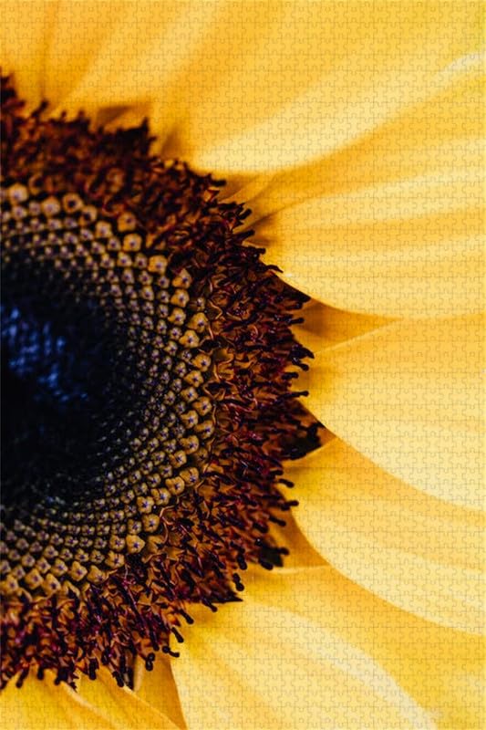 La mitad de un girasol - Rompecabezas de madera de 12000 piezas - Rompecabezas ideal para juegos familiares regalos coleccionables