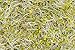 Broccoli Sprout Powder, 8 Ounces – Kosher, Vegan, Sirtfood, Bulk