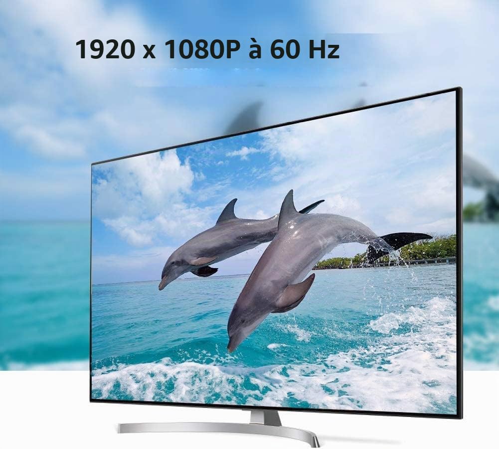 Adaptateur HDMI vers VGA DVI HDMI 1080p HD Convertisseur Vidéo Audio Multiport Noir