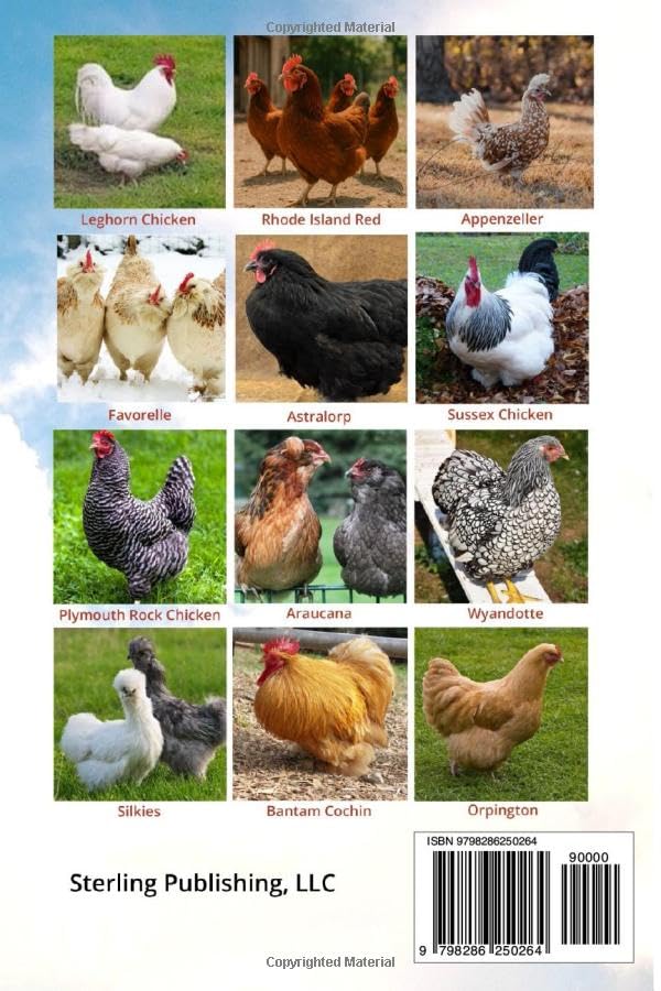 Let's Squawk About Raising Chickens: Everything You Need to Know to Raise Happy, Healthy Hens, Optimize Egg Production, Begin a Rewarding Family Activity, and Outfox the Fox - Image 2