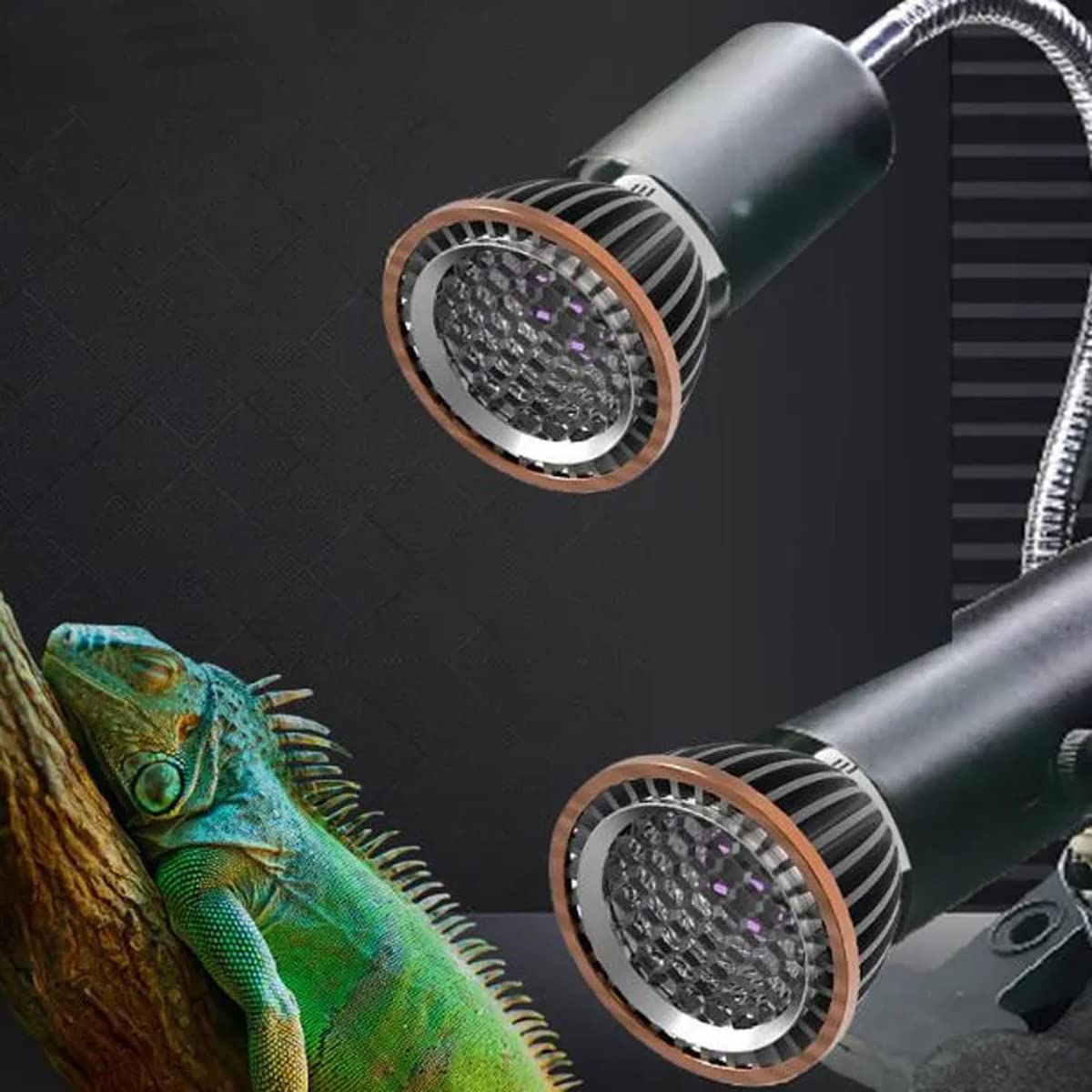 UVA UVB 10.0 - Lampada termica a spettro completo e luce per rettili, doppia illuminazione con sintesi di vitamina D3, base E27 per tartarughe acquarie/lucertola/drago barbuto/habitat anfibio