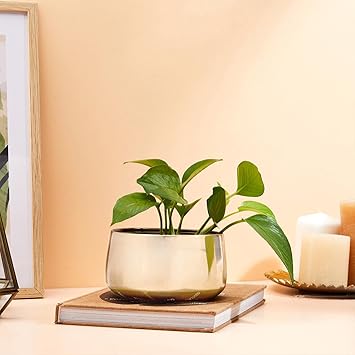 amazon basics Metal Planter with Stand | for Plants & Flowers | Suitable for Living Room Decor (Gold) - image, photos