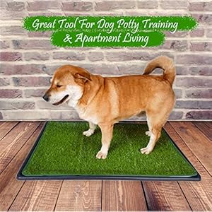 Dog Artificial Grass Pad with Tray for Puppy Potty Training Fake Turf Patch  Washable Pee Pad Pet Loo for Small and Medium Dogs Indoor or Outdoor Use potty System 354 X 236  Cucciolini Doodles Dog artificial grass pad with tray for puppy potty training fake turf patch  washable pee pad pet loo for small and medium dogs indoor or outdoor use potty system 35 4 x 23 6   cucciolini doodles