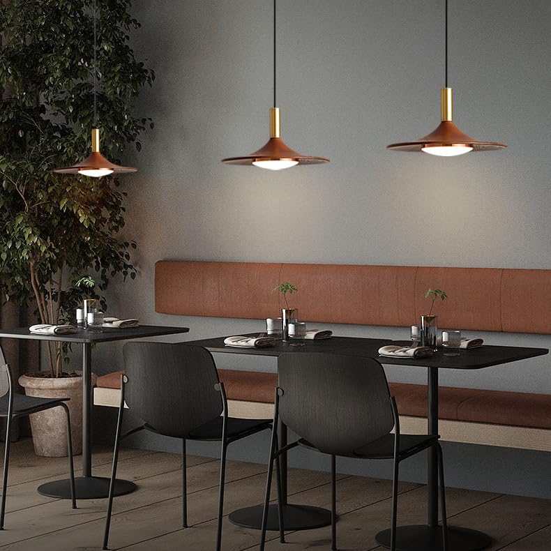 Luces colgantes ajustables LED de 10W para dormitorio sala de estar y techos modernos 4