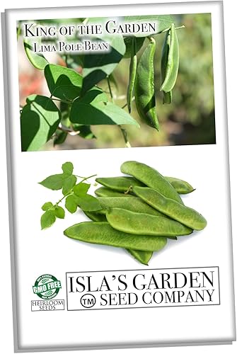 King of The Garden - Semillas de frijol Lima para plantar, frijol de poste, más de 25 semillas tradicionales por paquete, semillas de jardín de Isla