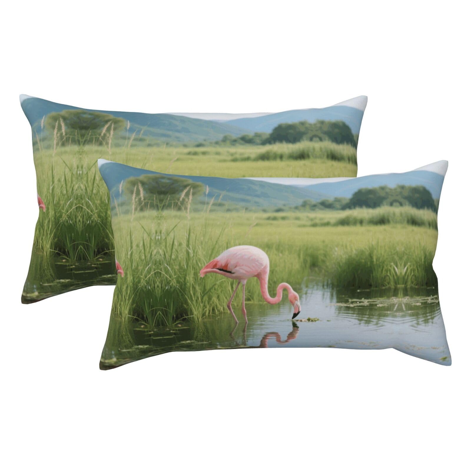 A Flamingo Drinking Water Luxury King Pillowcases Set of 2, Plush Velvet Feel Pillow Covers with Hidden Zipper, Skin & Hair Friendly, 20x36 Inches Pillow Cases for Sleeping Gift