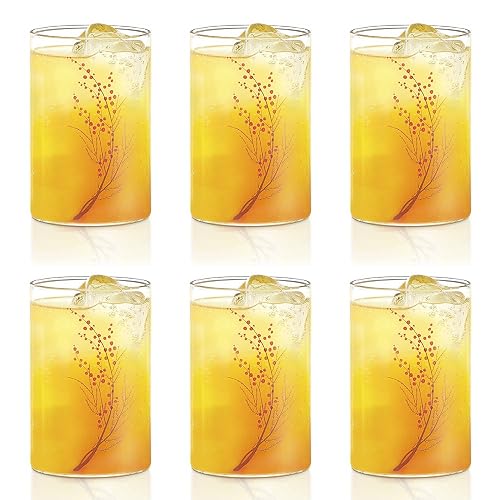 Borosil Vision 6pc Transparent Drinking Glass | Borosilicate Glass Tumblers for Water, Cold Drinks, Juice | Flame Proof, Microwave & Dishwasher Safe | for Daily use & Gifting (Cherry, 295 ml)