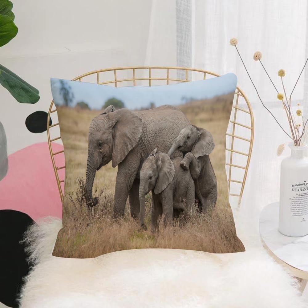 Hyosxw Safari Elephant Mom And Baby Elephant On Afr - A6 Cushion Cover,Throw Pillow Case Home Decorative For Living Room Bedroom Sofa Chair 18X18 Inch,Safari Elephant Mom And Baby Elephant On African Grassland,Pillowcase 45X45cm