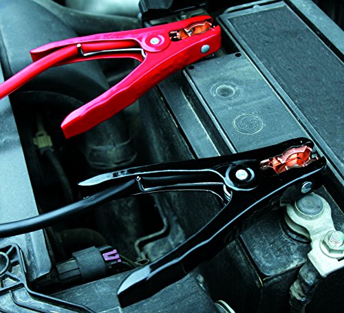 Apollo Tools DT0101 Travel & Automotive Tool Kit, 64-Piece , Red