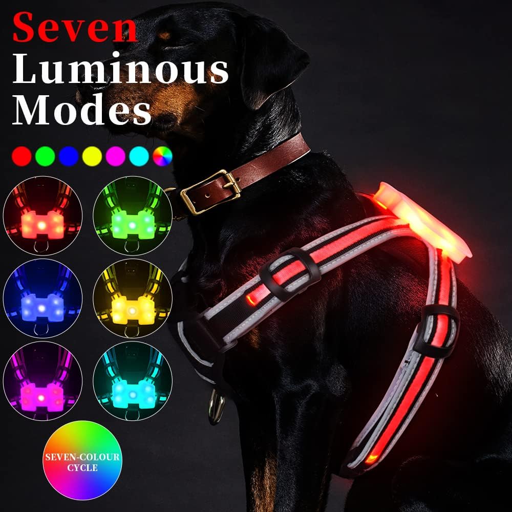 LED Dog Harness, 7 Light Modes with EU & US Patents, Large Glowing Panel for Night Safety, Breathable Mesh & Sponge Padding, Reflective Strips for Small/Medium Dogs (XL)