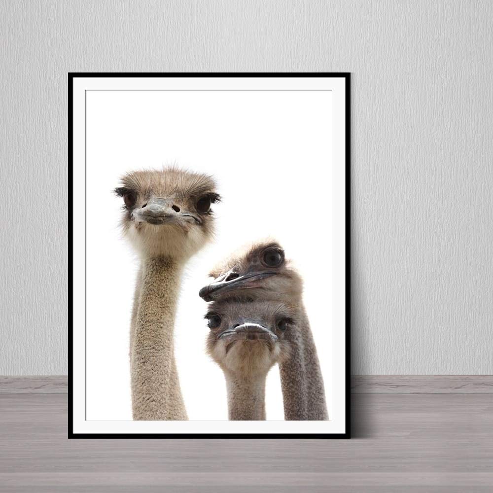 Ostrich Print Nursery Animal Boy Girl Gift Kids Room Printable Cute Wall Art Canvas Painting for Home Decor 30x45cm NO Frame