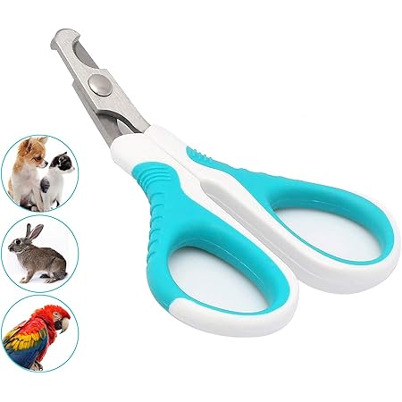 cat claw scissors
