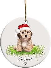 Bemaystar ceramic christmas ornaments for christmas tree christmas ornaments personalized christmas decoration dog christmas ornament christmas keepsake 2023 christmas ornaments first christmas