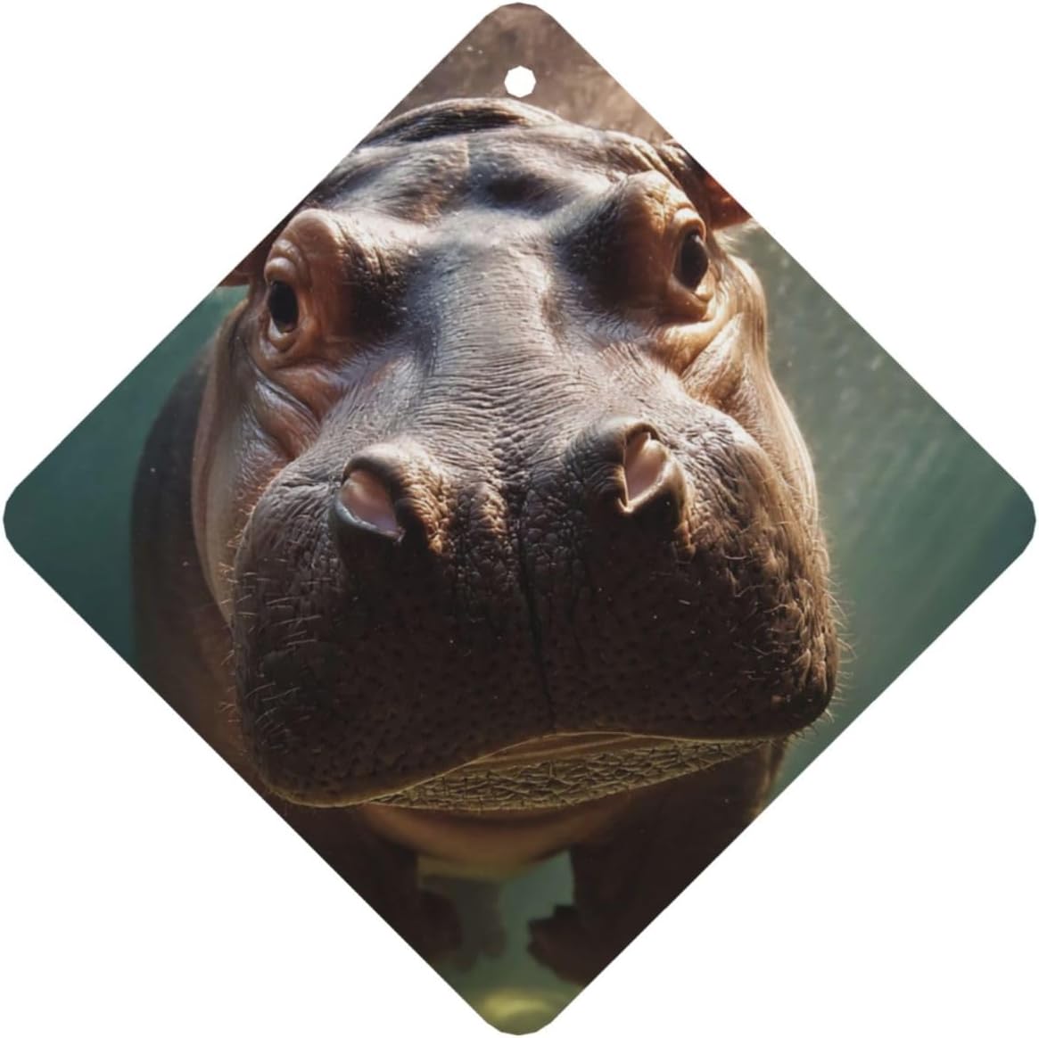 Car Air Freshener 24 PCS Diving Hippo Hanging Car Air Fresheners Auto Interior Decor Card Freshener Strong Scented Card Lavender Cars Scents for Office Bedroom Close Drawer Square