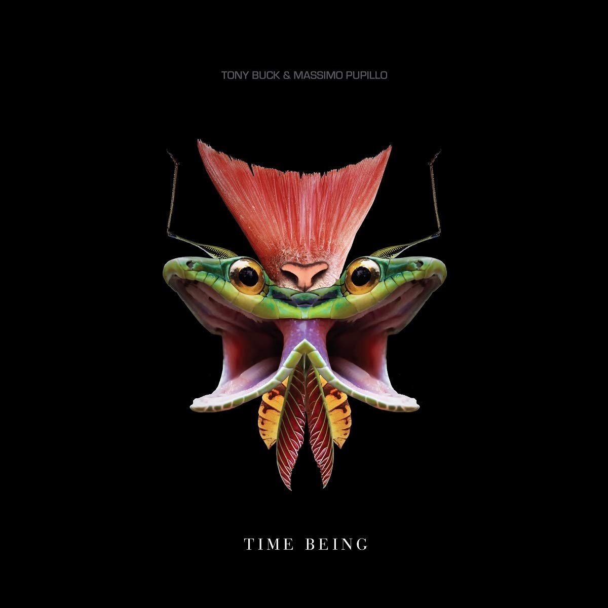 TIME BEING [VINYL]