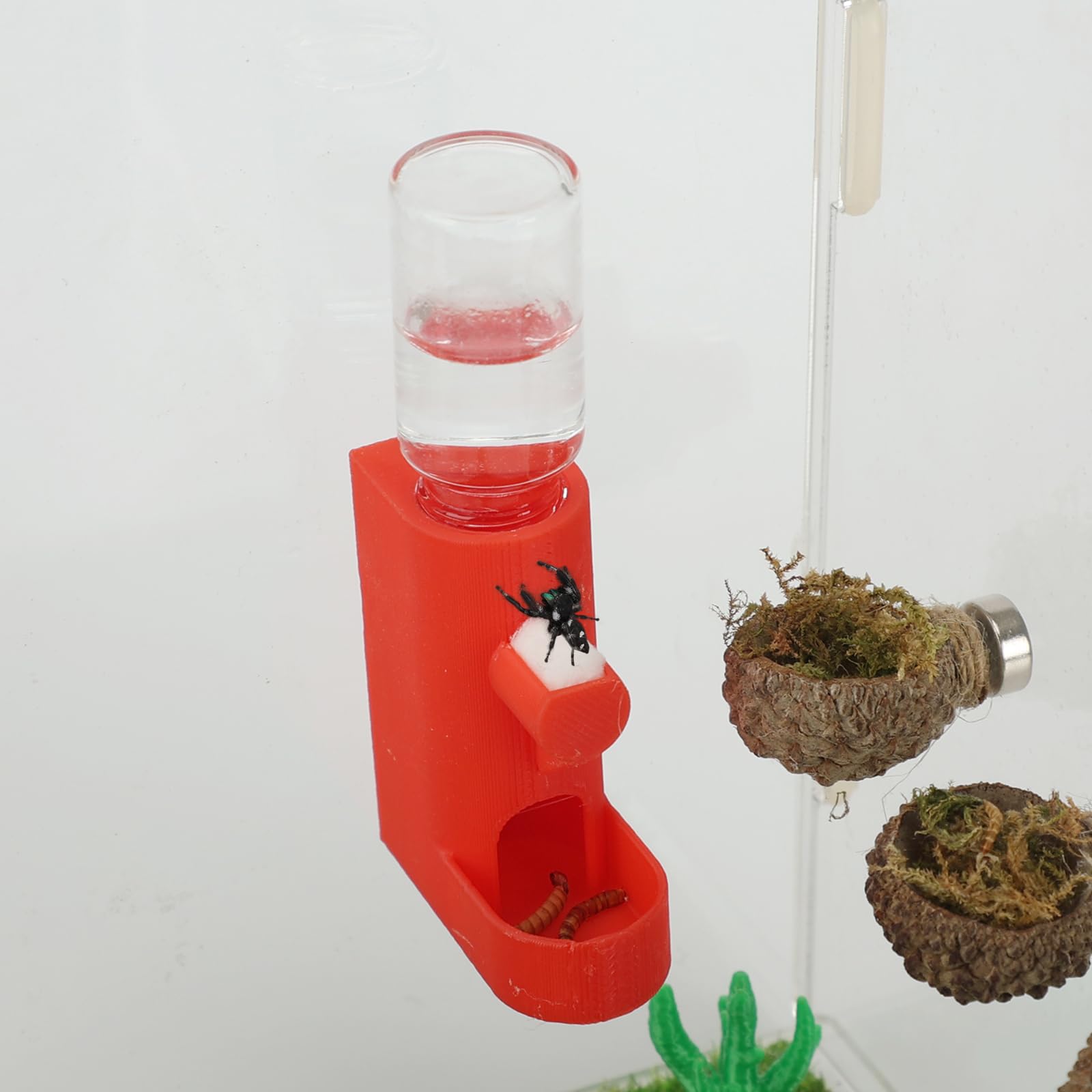 Daerky Small Animal Water Feeder, Magnetic Hanging Feeder & Hidden Cave - Accessories for Jumping Spiders, Wolf Spiders, Mantises, Arboreal Animals & Other Small Creatures - 5ML Capacity (Red)