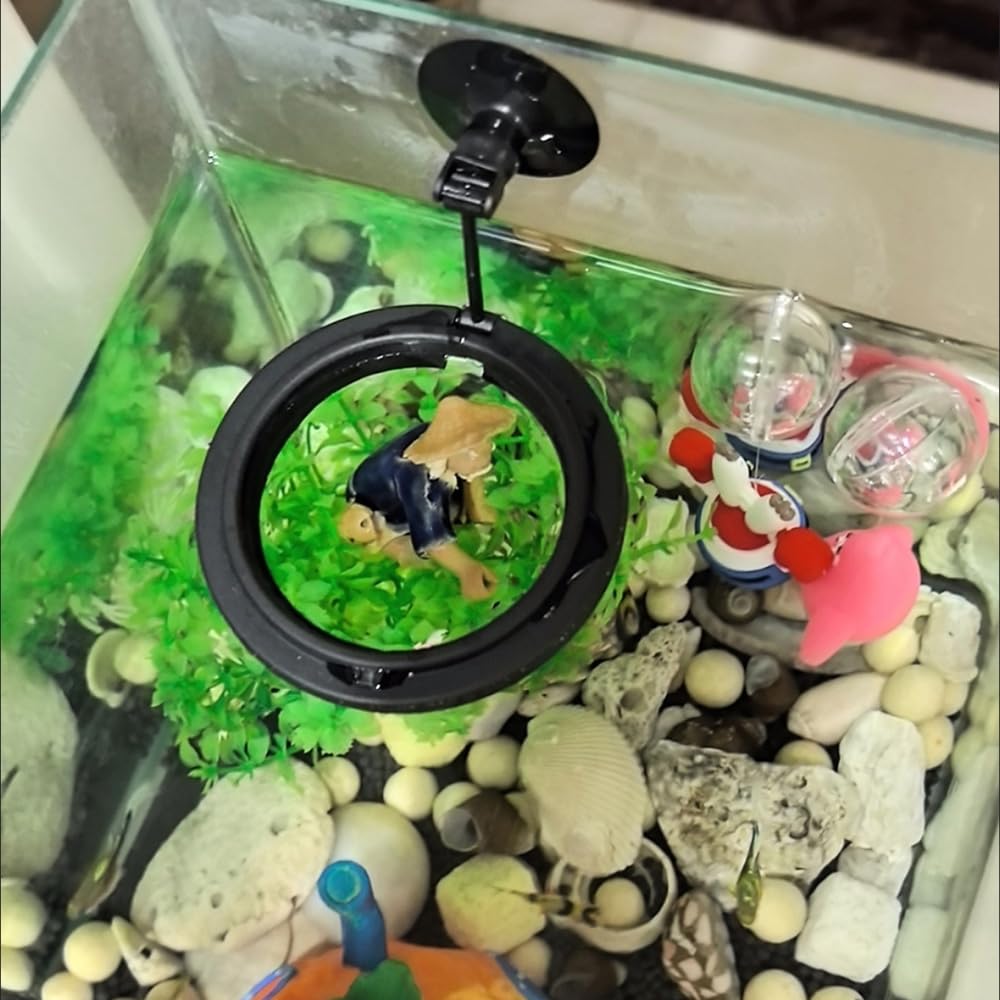 Anelli Alimentazione Pesce Acquario Rotonda Quadrata Guppy Betta Pesci Rossi 2 Pezzi Ventosa