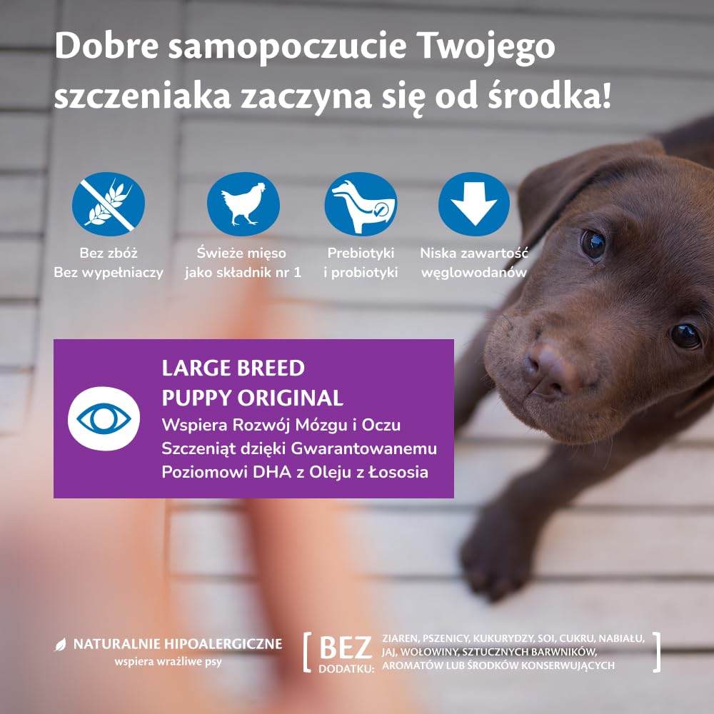 Wellness CORE Puppy 10 kg, Kurczak – Sucha Karma dla Szczeniąt Dużych Ras, Bezzbożowa, Naturalna, Hipoalergiczna, Bogata w Białko, o Wysokiej Zawartości Mięsa, Wspiera Rozwój Mózgu i Wzroku