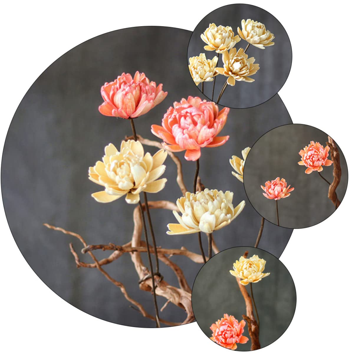 Alipis 6pièces Bouquet Décoratif Naturel Séché De Fleurs Préservées pour Décoration Intérieure Artisanat Ambiance Naturelle pour Maison Et Événements