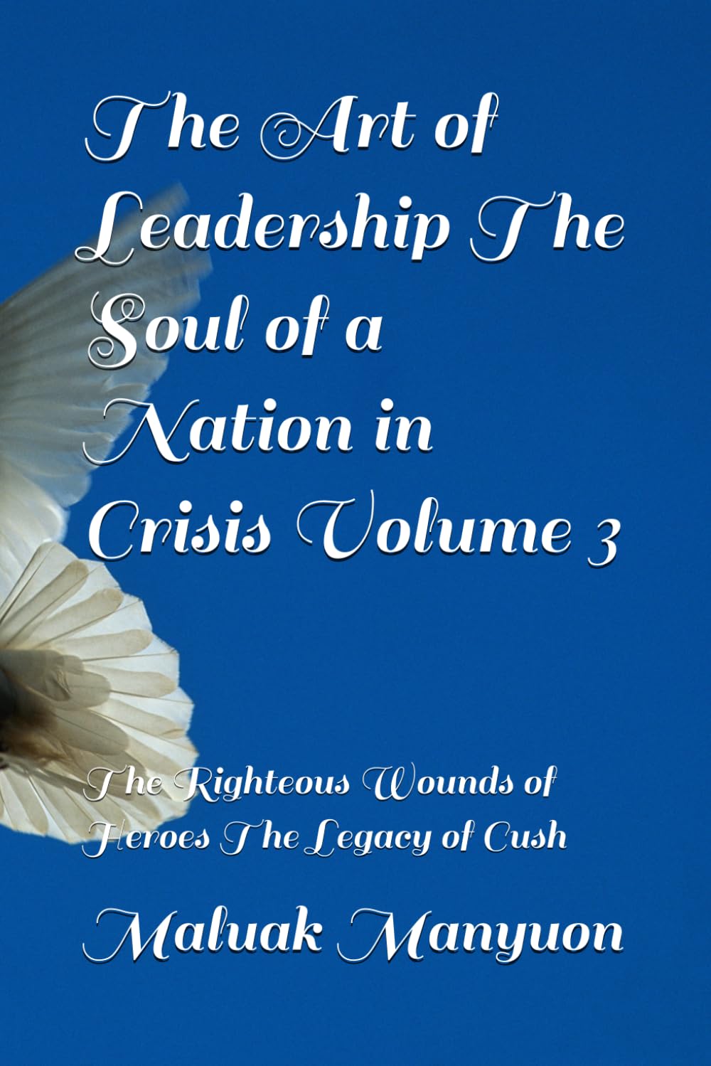 The Art of Leadership The Soul of a Nation in Crisis Volume 3: The Righteous Wounds of Heroes The Legacy of Cush