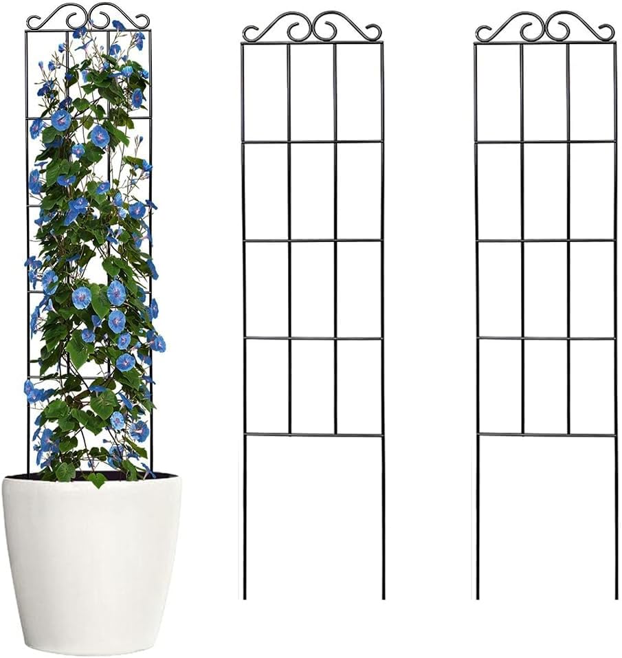 HASTHIPยฎ Garden Plant Support Cages Stakes - 120CM Plastic Creeper Support Stands - Adjustable & Connectable - Round Moss Sticks for Plants Support - Indoor/Outdoor Suitable for Clematis & Climbers