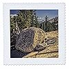 3dRose Half Dome from Olmstead Point in Yosemite National Park 12x12 inch Quilt Square #1