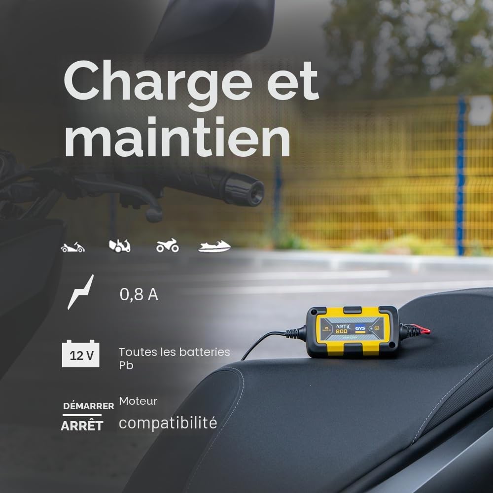 GYS - Artic 800 - Chargeur - Inverter - Livre avec Pinces et Cosses de Connexion, Noir,Jaune