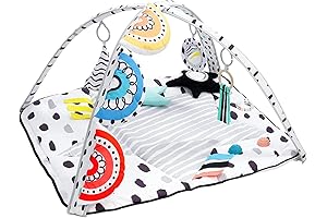 Ladida Stage-Based Baby Play Gym: Sensory Stimulation for Cognitive Development