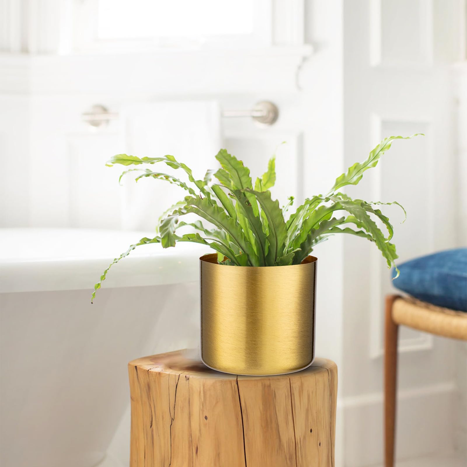 Vaso Dorato In Ceramica Per Piante Grasse E Orchidee, Con/senza Foro, Set Da 2 Misure, Regalo Casa