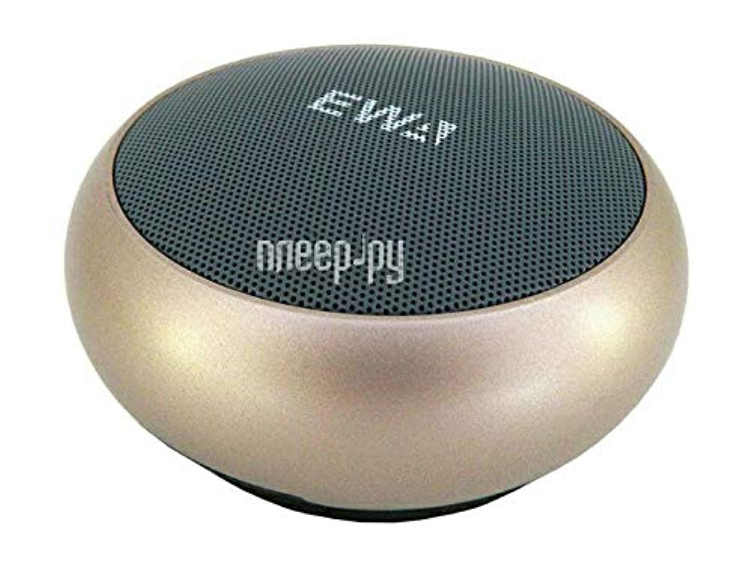 EWAWireless Speaker (500g)